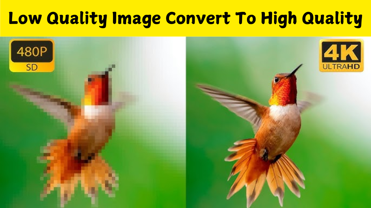 Low Quality Image Convert To High Quality Free Ai